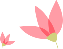 Home 8