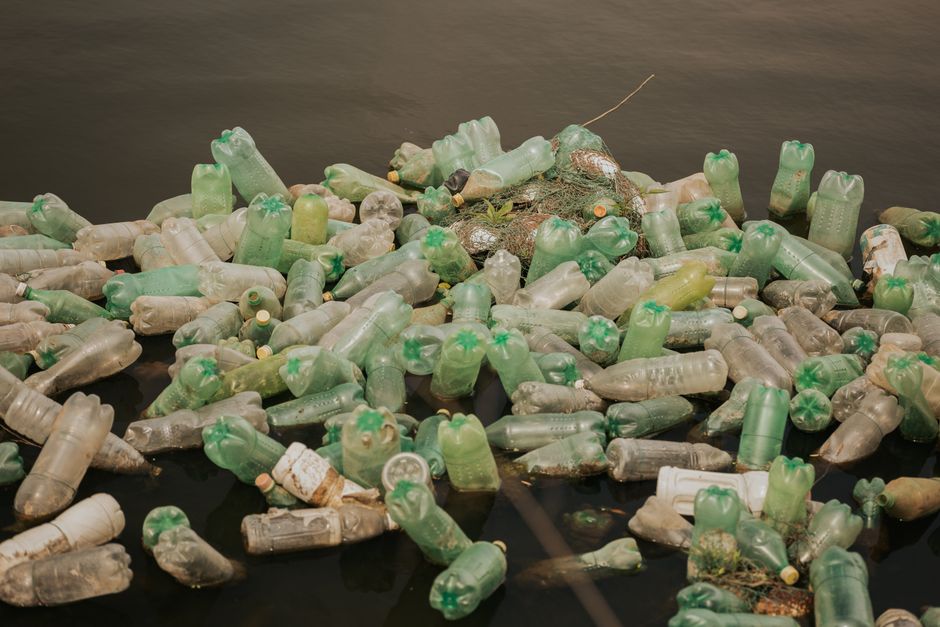 A collection of plastic bottles polluting a body of water, highlighting environmental issues.
