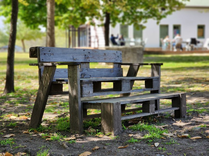 A rustic wooden bench sits in a sunlit park with a building in the background.