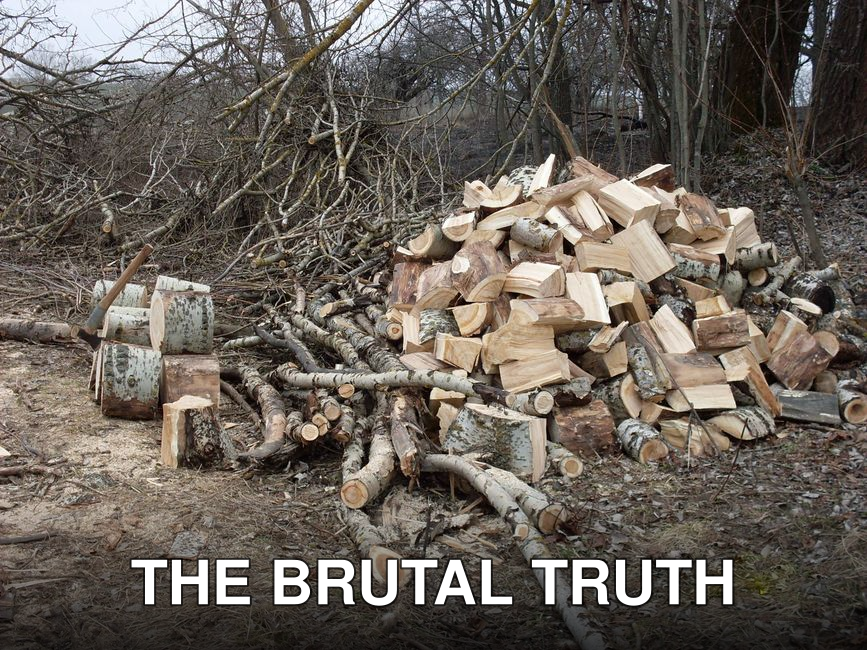 A stack of chopped firewood in a forested area during autumn, ideal for seasonal use.