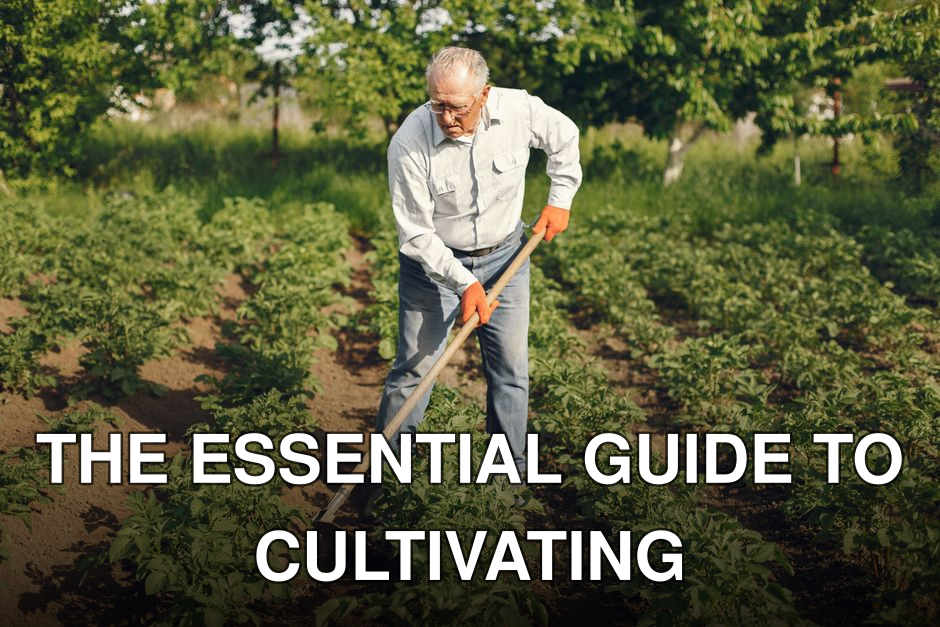An elderly man working in a green vegetable garden, cultivating crops with a hoe.