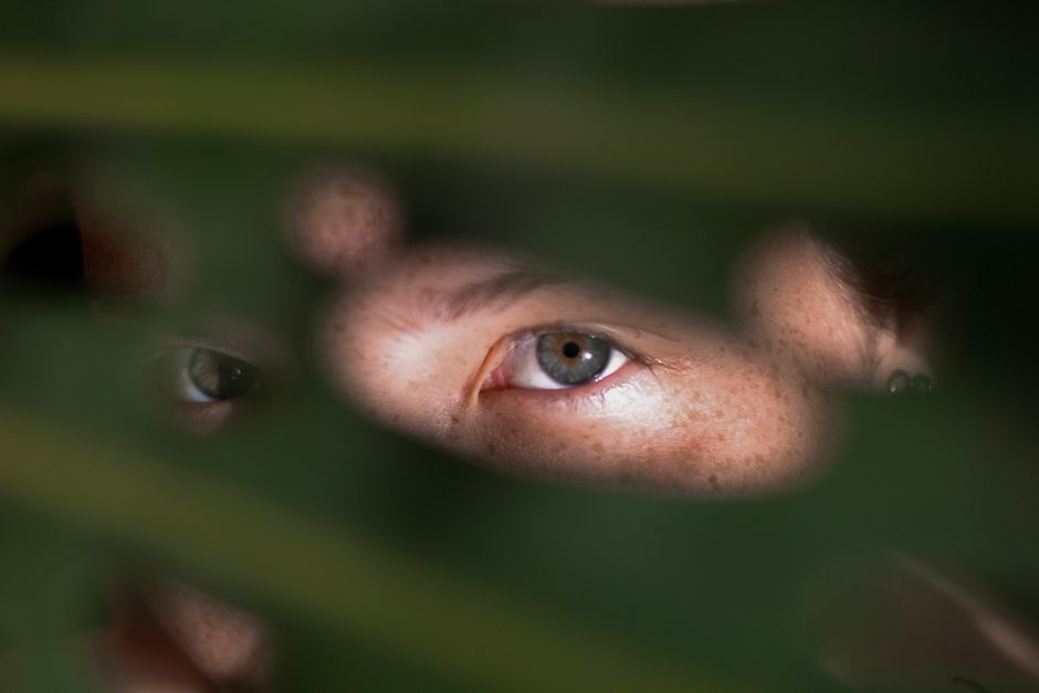 A mysterious close-up photo showing eyes peeking through green foliage.