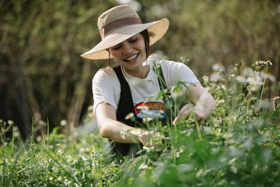 Cheerful female in headwear picking fresh small flowers on green stem while standing in nature against trees on blurred background